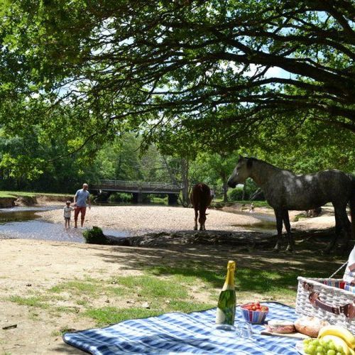 Brockenhurst Ear Wax Removal